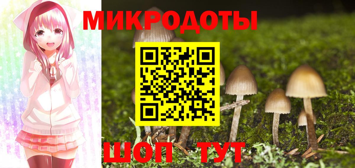 Малоярославец  Галлюциногенные грибы MAGIC MUSHROOMS  Вход с VPN  Галлюциногенные грибы мицелий 