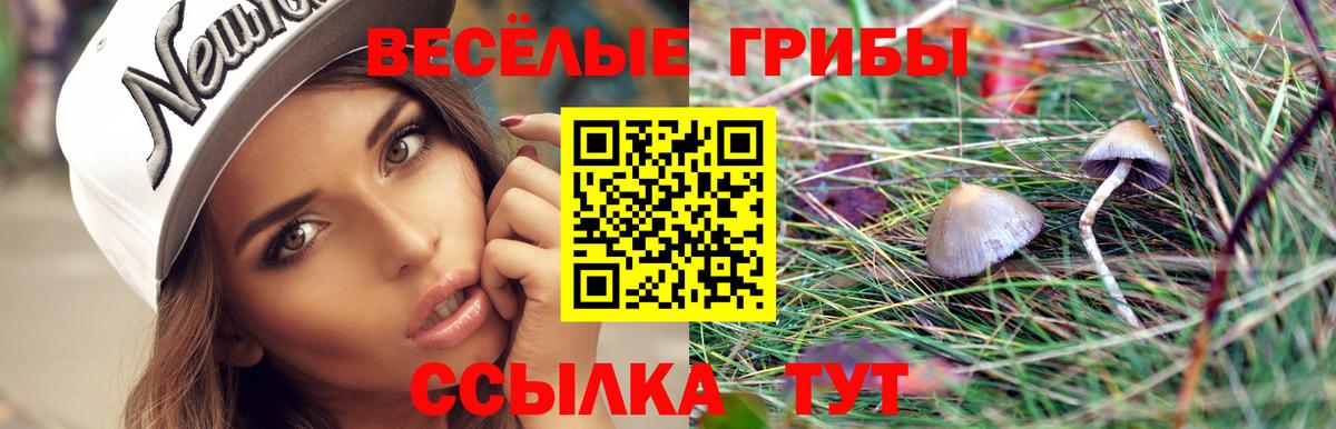 Галлюциногенные грибы прущие грибы Малоярославец